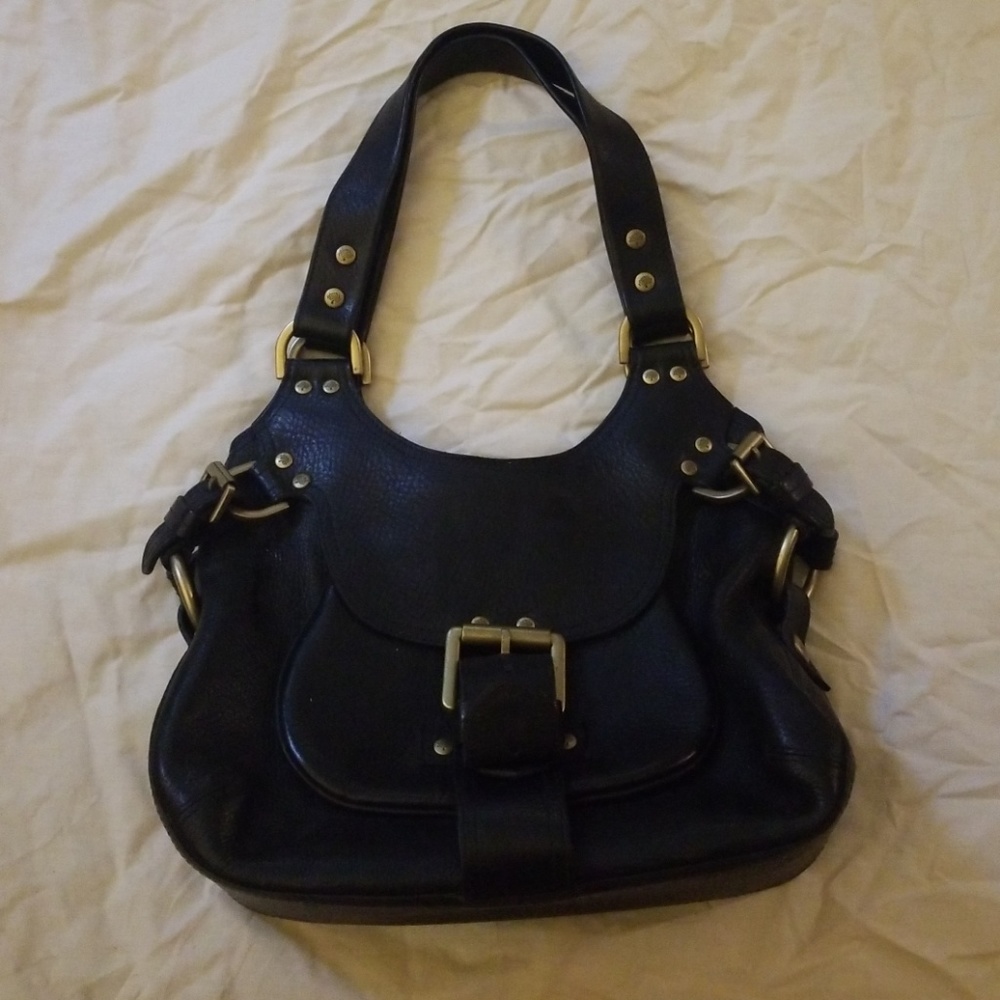 Mulberry Phoebe